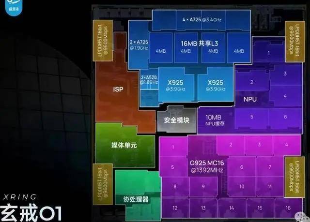 爱华外汇平台网址南平市林业局举办FSC森林认证培训会